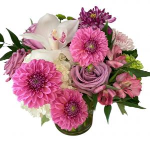 dahlia lavender
